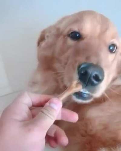 Taming the wild beast