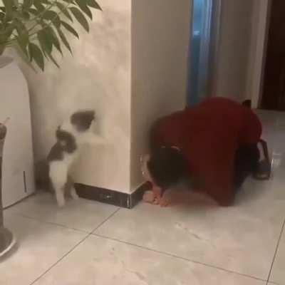 Every Day We Play This Game. This Is Her Favorite Game