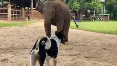 Catch me If you can!!