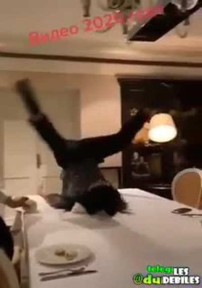 HMC while I show everyone my New Years Eve dance routine