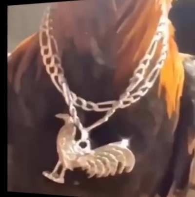 DRIPPED OUT COCK 🥶🥶🥶