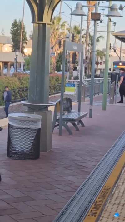 Just another day in L.A.