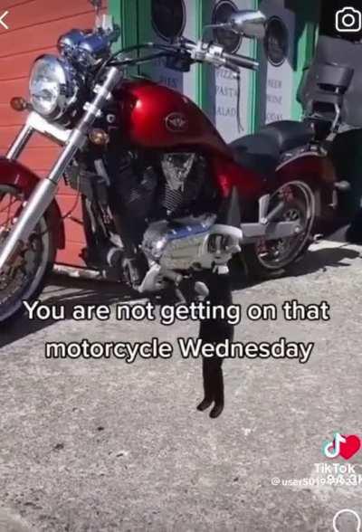 fUCKING K-?keKILLLLLLL EAT SMALL ANIMAL RIP TO SHREDS.mp3