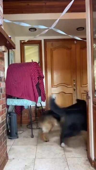 Always ready to play