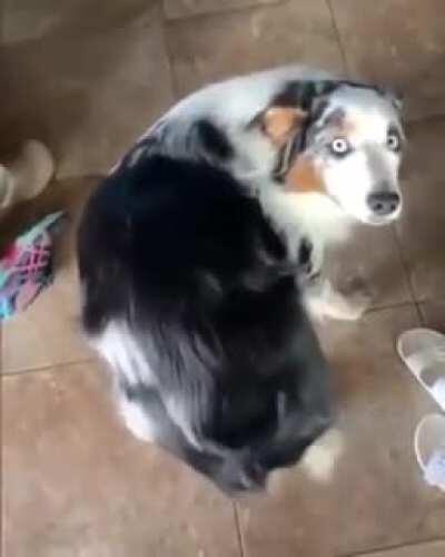 Quick..scratch butt..no time to explain..