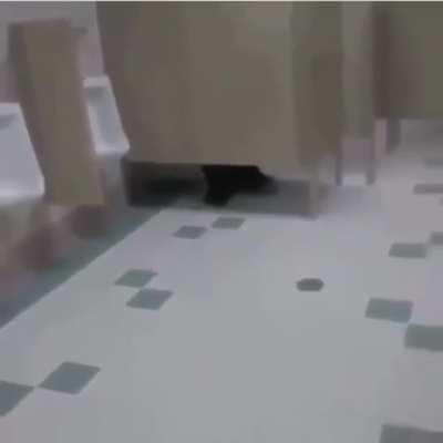 Imagine that fat shit 😋😋