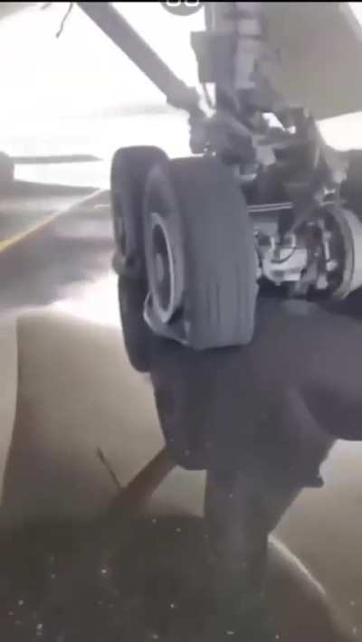 Even dead they are inconvenience