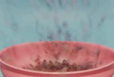Floppa Flakes add ( By Coby Atho on YT )