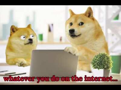 le naively browsing through forums in 2011 has arrived