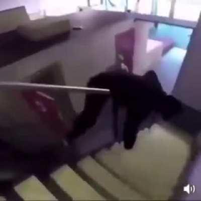 How to use stairs (drunk edition)