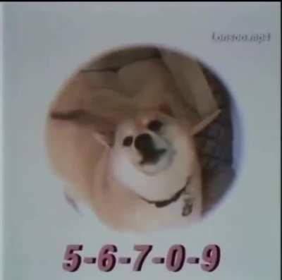 My friend sent me this very important video