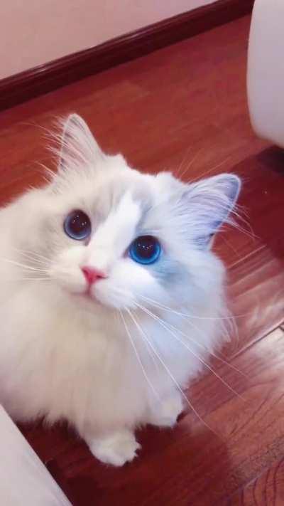 Beautiful eyes