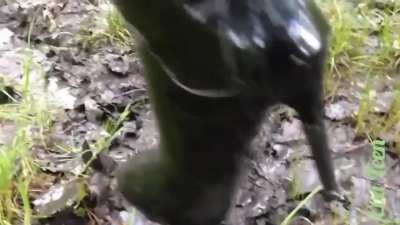 Shiny Black Boots in mud