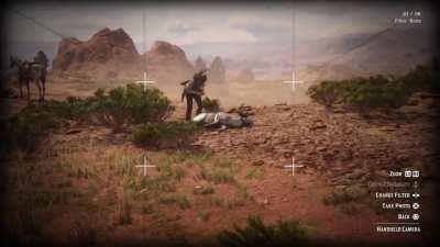 You ever try to snap a photo of a Legendary animal immediately upon revival? Sons of bitches are fast.