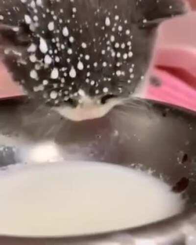 This one right here officer