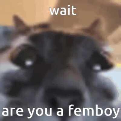 no one: dommes in hentai