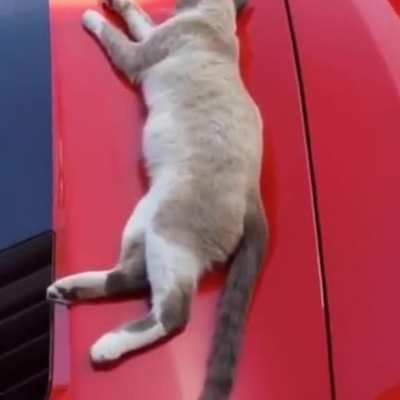 Please do not hassle....!!!