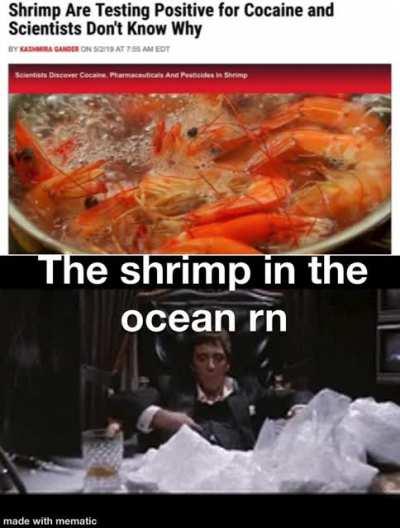 Shrimp getting cracked up🤬🤬😱😂🙏🤯