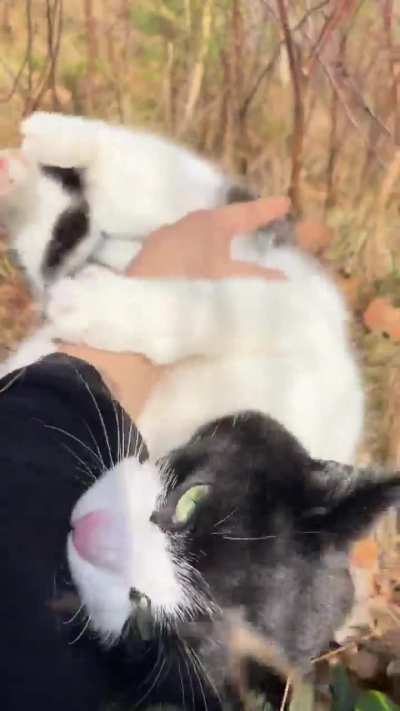 Some small bunny kicks😊