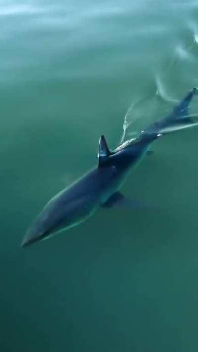 Slicing through the surface