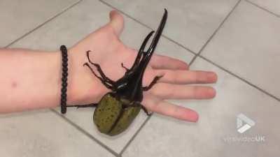 JUST STAY AWAY FROM ME....😨