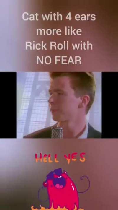 This is a cat with 4 ears