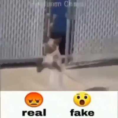 Real ou fake ,?????🤔