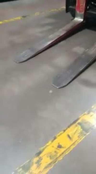 Talento argentino a las estrellas