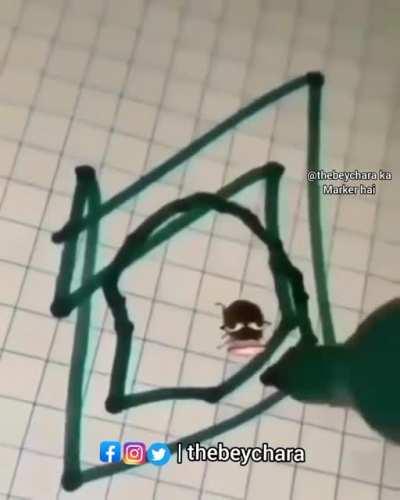 Delhi ka Average Keeda