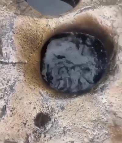 Perfectly safe nothing to see here