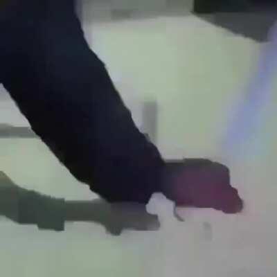 directamente desde Hollywood