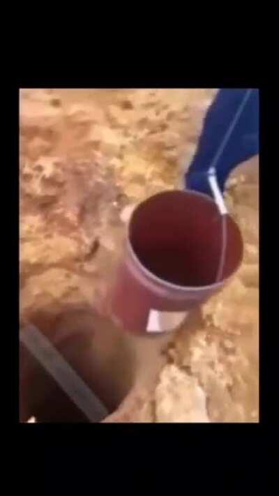 I can take care of myself, ALSO SHE :