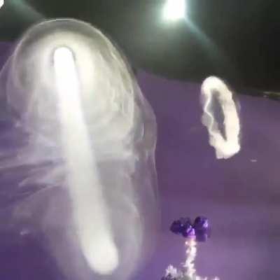 Vortex dynamics as demonstrated by a cloud chaser