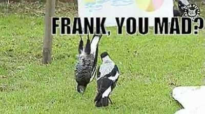 Я так чувствую