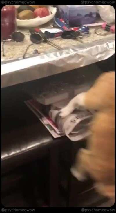 Just trying to draw the blinds