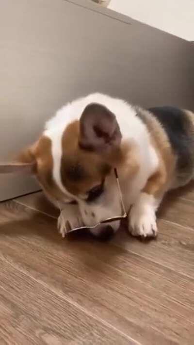 HMK while I show my swag