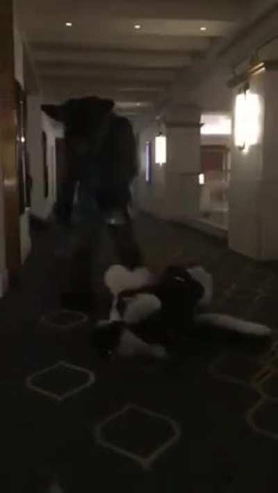 Fight Clubs in furry conventions would be a dope idea