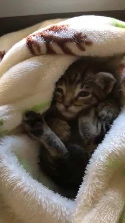 Little criminal leaning to clean the evidence