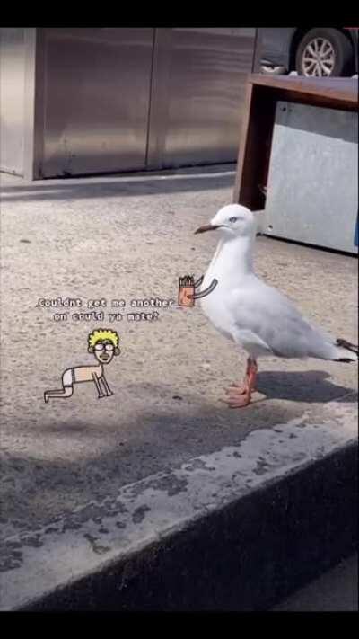 Don’t feed the humans