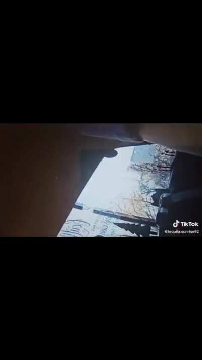 tammyhull - Video #7434