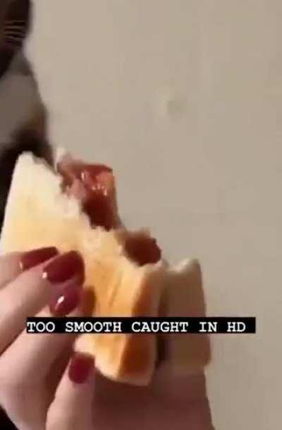 No way this was the orange genes. 😅