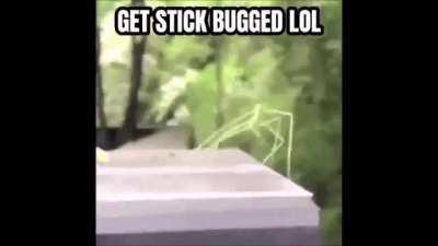 Gif that you can use as profile picture