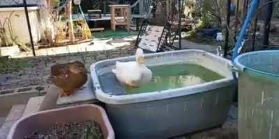 When you wanna take a bath...