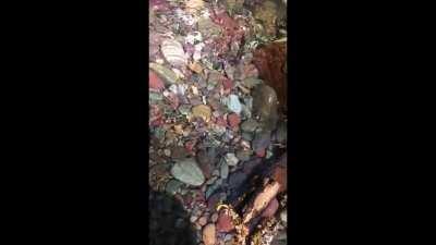 River water over rainbow gravel.