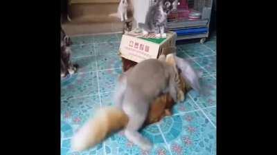 ben neden böyle şeyler yapıyom amk