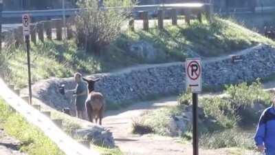 Doesn’t like joggers