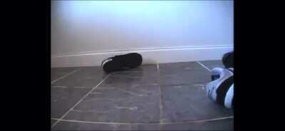 J. Cash Da Goat vs J. Cannon pt.2 rd2 2007 (classic scene) Who won 🤔