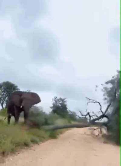 Block the road to solve a huge problem