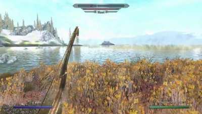 I made a compilation of my craziest plays in Skyrim. Please sit back and watch if you have two minutes to kill.