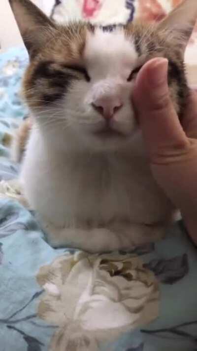 When you accidentally hit the off button